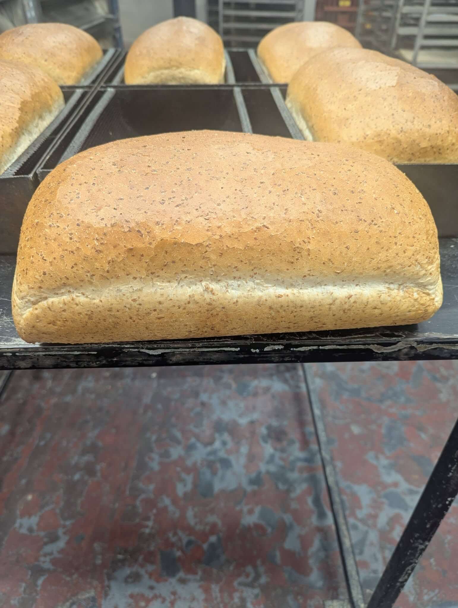 Specialty Breads and Loaves